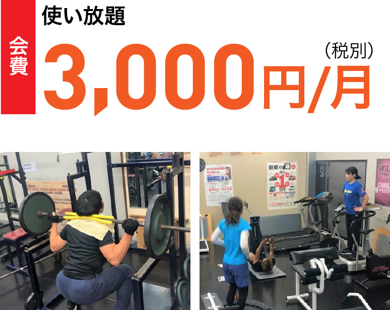 使い放題3,000円/月